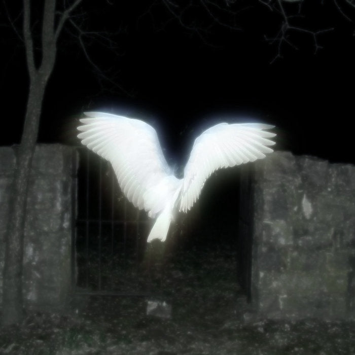 7777 の天使 - Life In Heaven T-shirt + CD