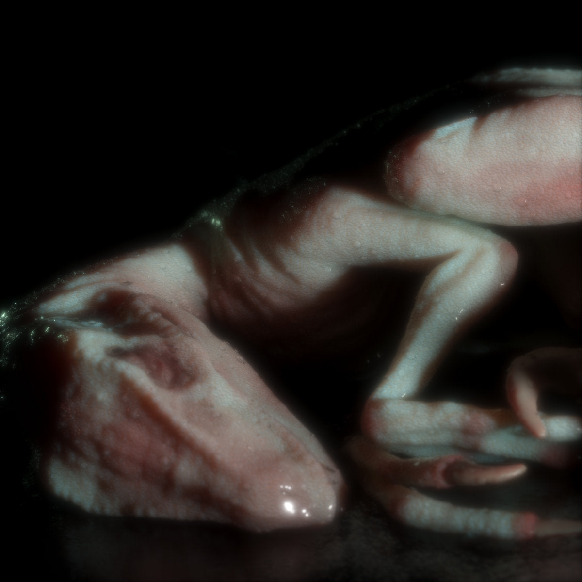 t0ni - Ego Death Memories CD