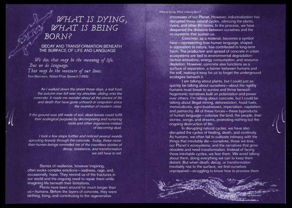 Beneath the Surface by Luïza Luz