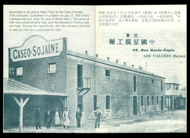 Revolutionary Tofu by Wu Qin