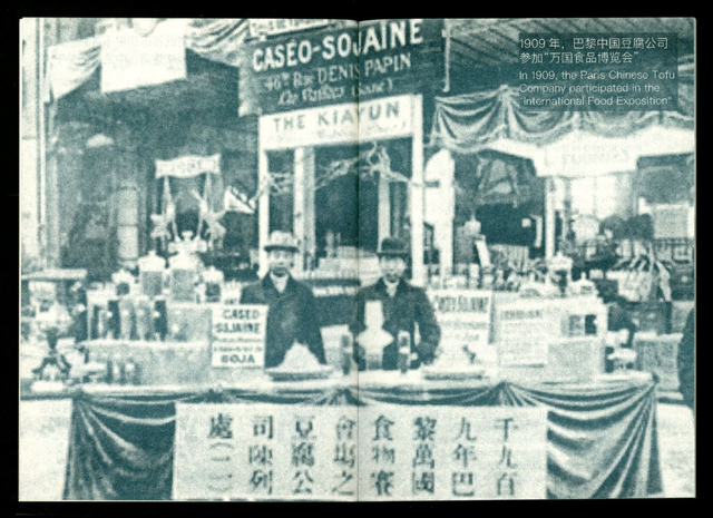 Revolutionary Tofu by Wu Qin