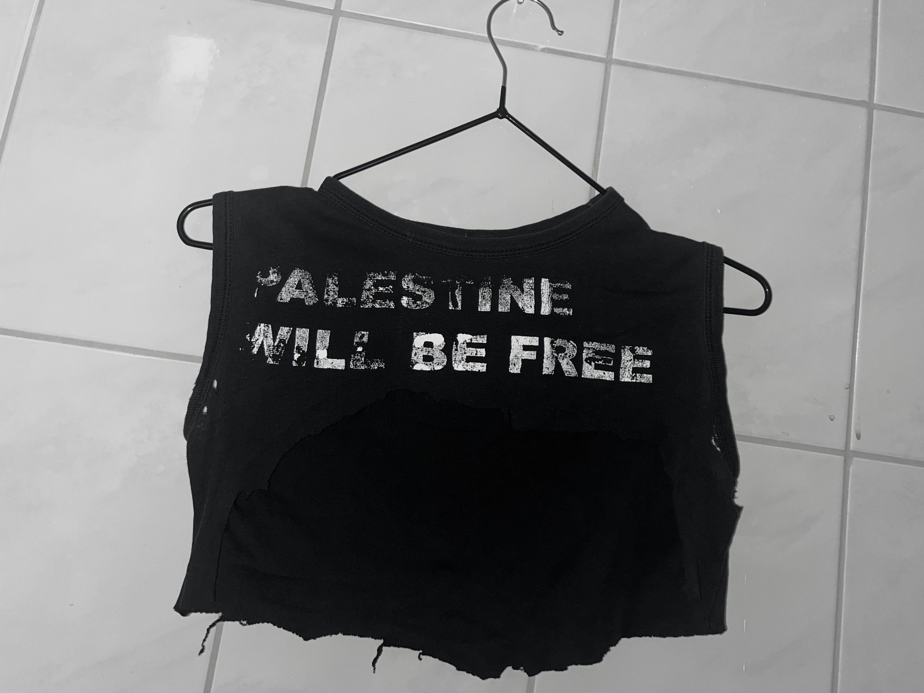 CROP TOP PALESTINE WILL BE FREE