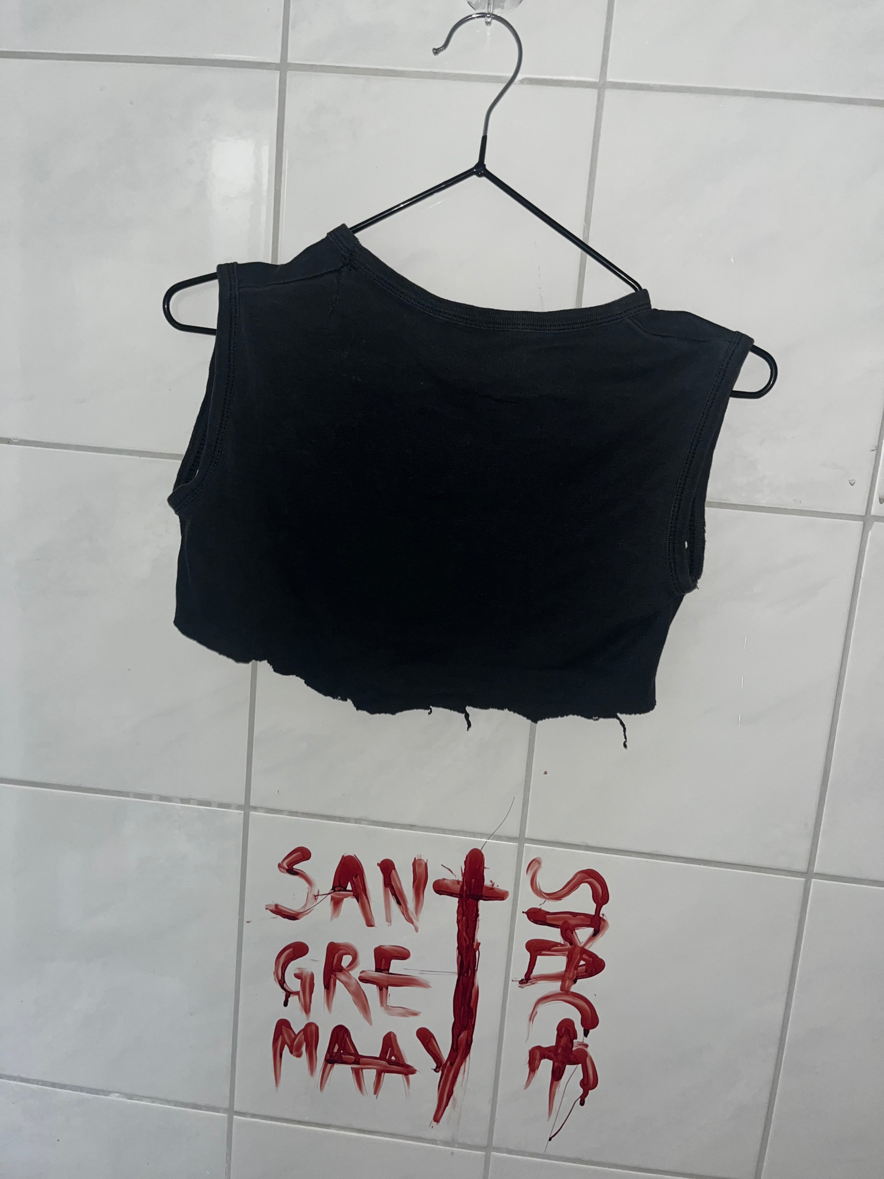 CROP TOP PALESTINE WILL BE FREE