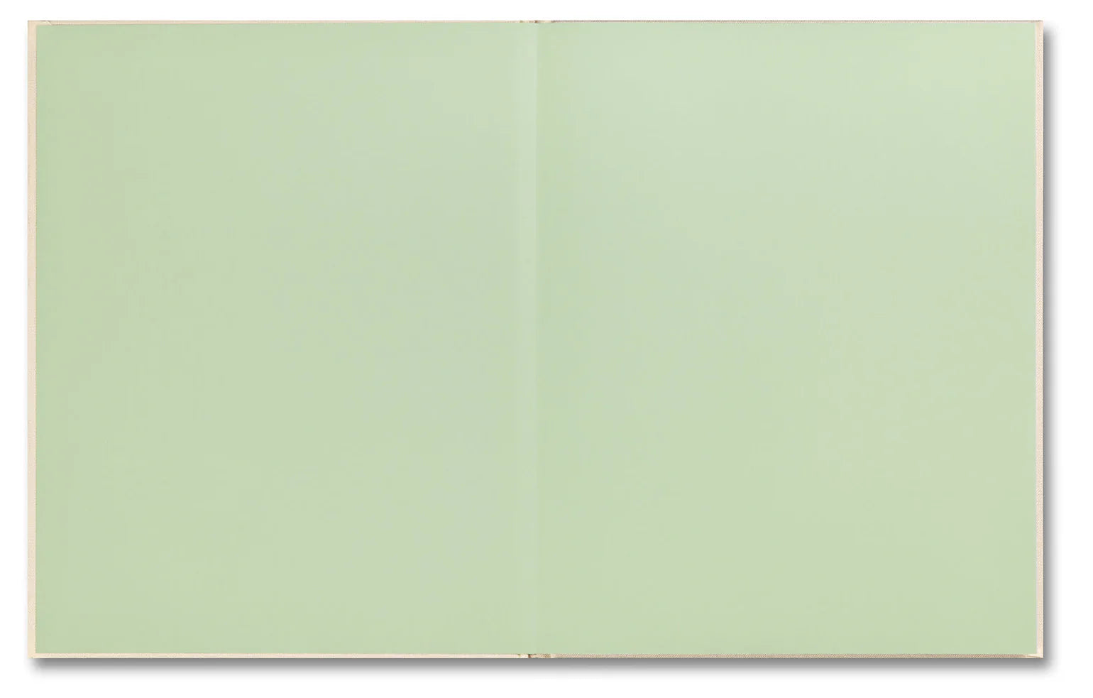 The Virgin Suicides – Sofia Coppola