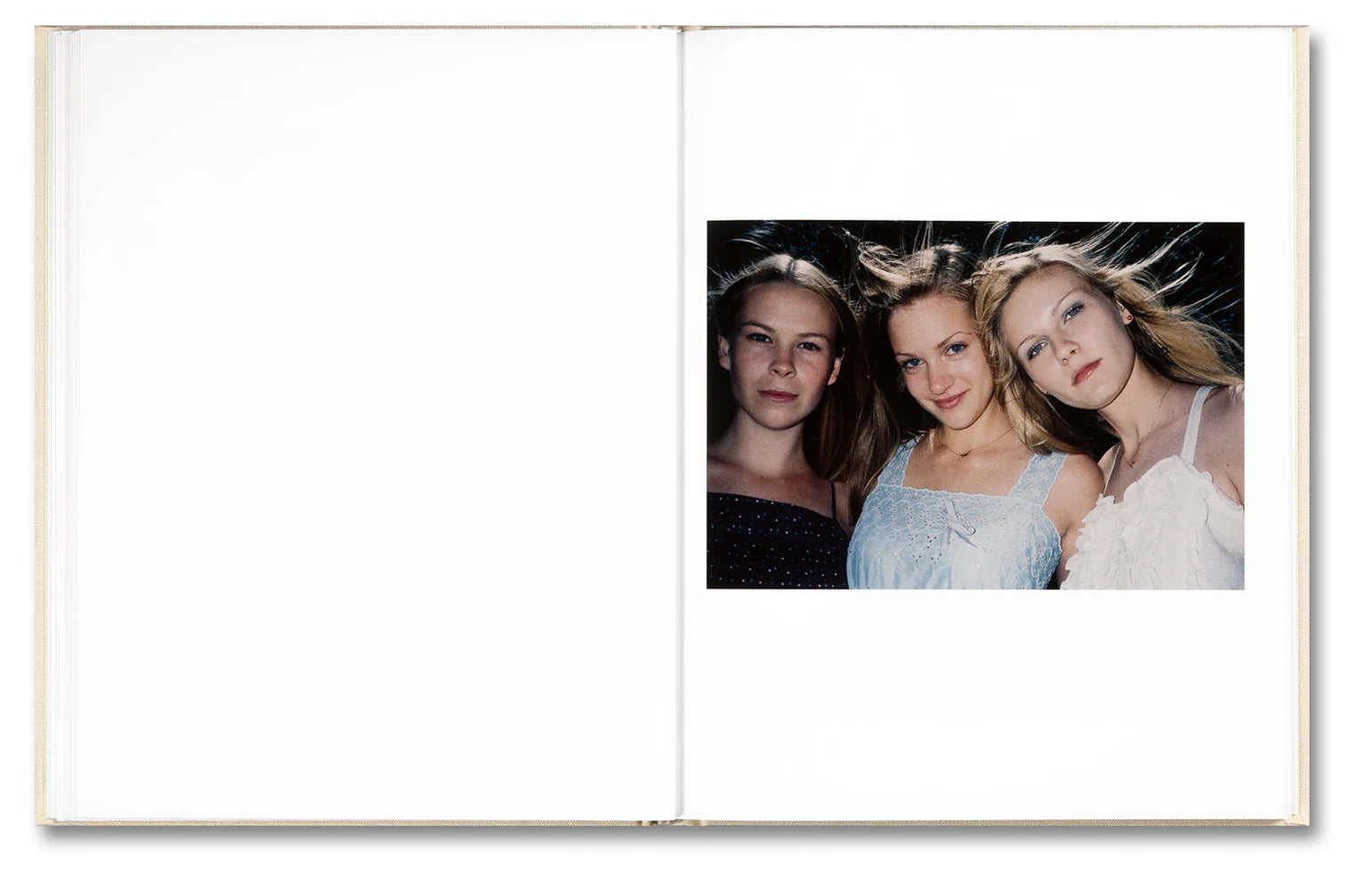 The Virgin Suicides – Sofia Coppola