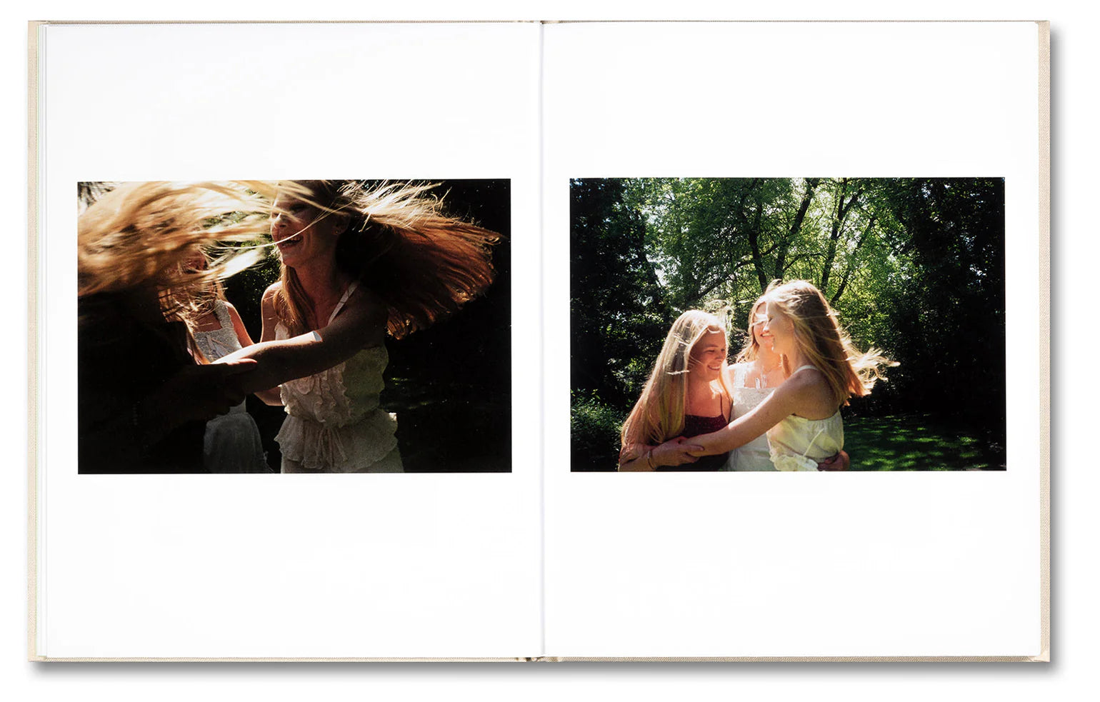 The Virgin Suicides – Sofia Coppola