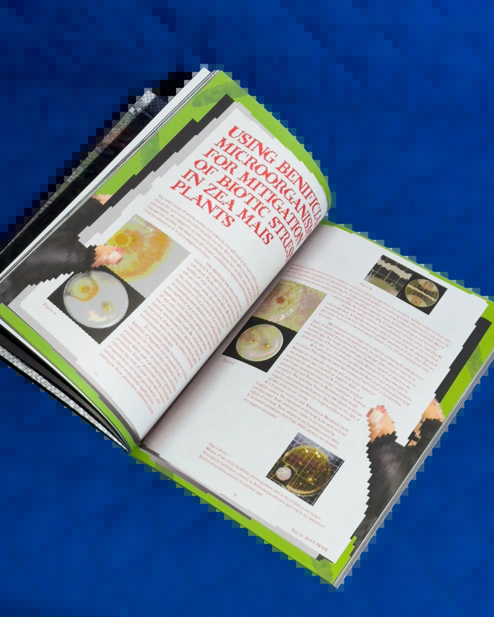 Lexicon of Nature – Local Group